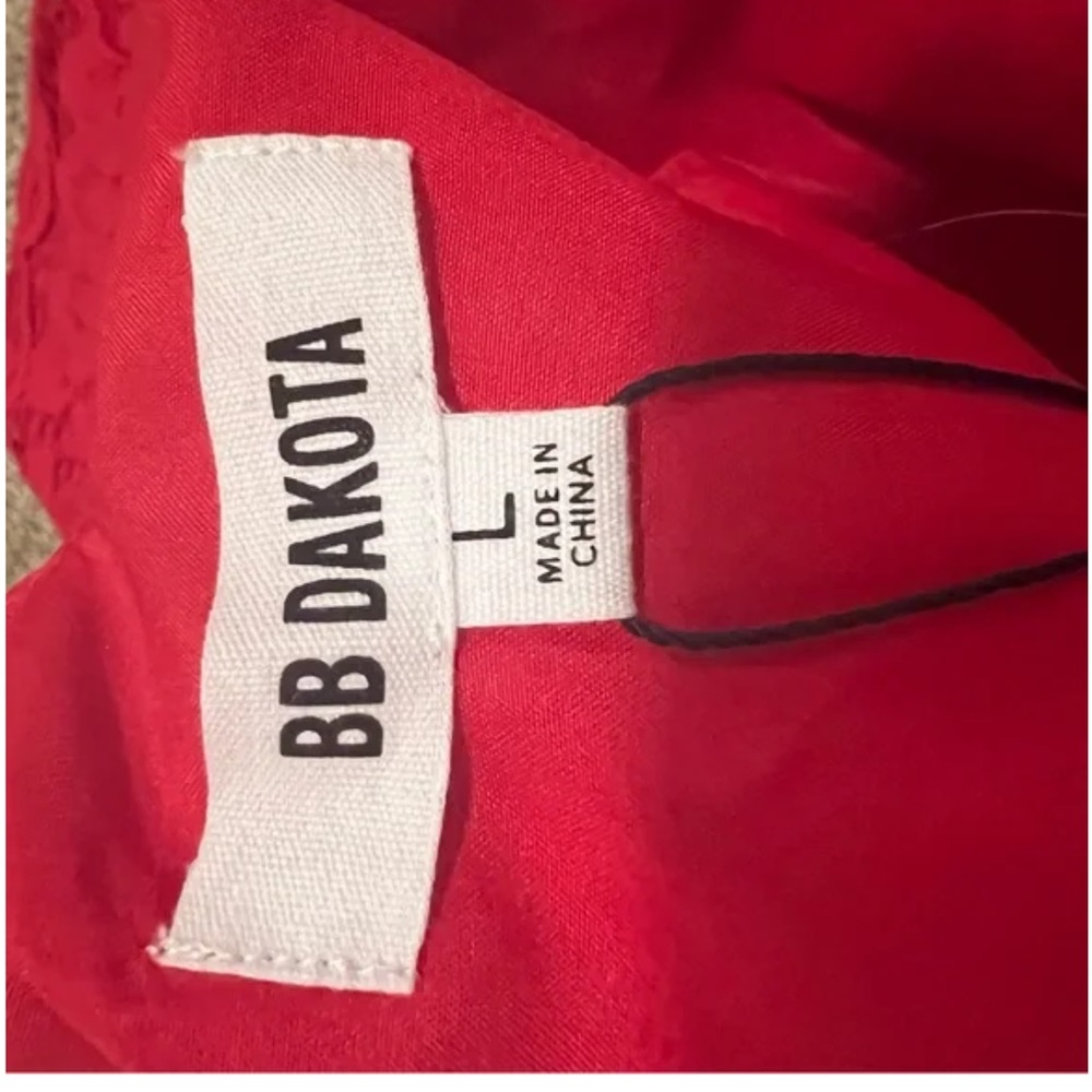 BB Dakota Jacqueline Shift Dress Red Lace - Nordstrom tags on - Picture 7 of 7